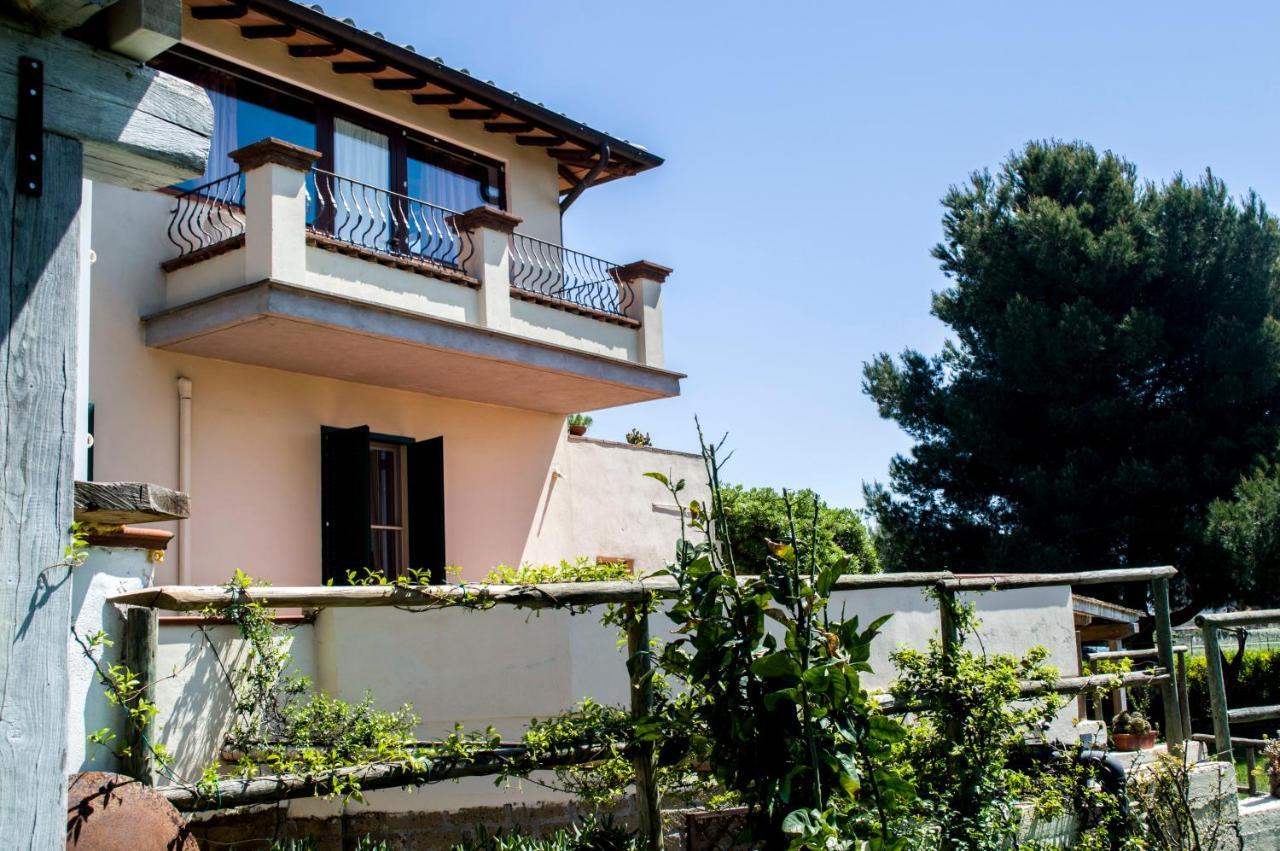 Villa Enli Capalbio Exterior photo