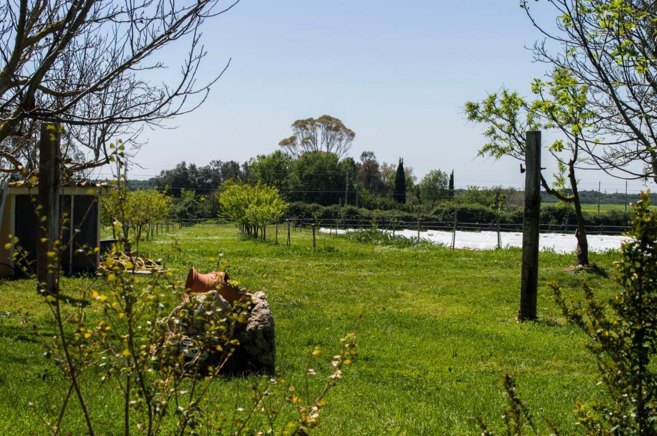 Villa Enli Capalbio Exterior photo